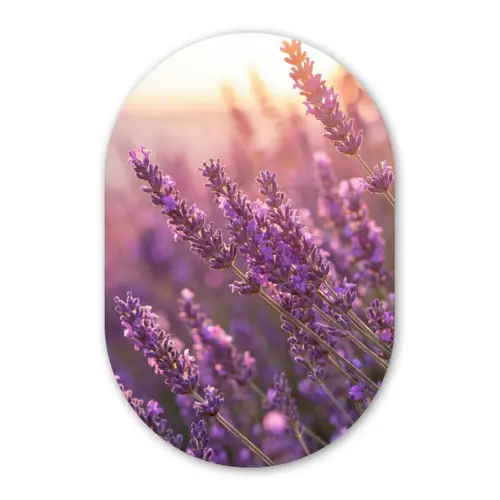 Lavendel - Paars - Zonlicht Wandcirkel Ovaal Forex klein -3d