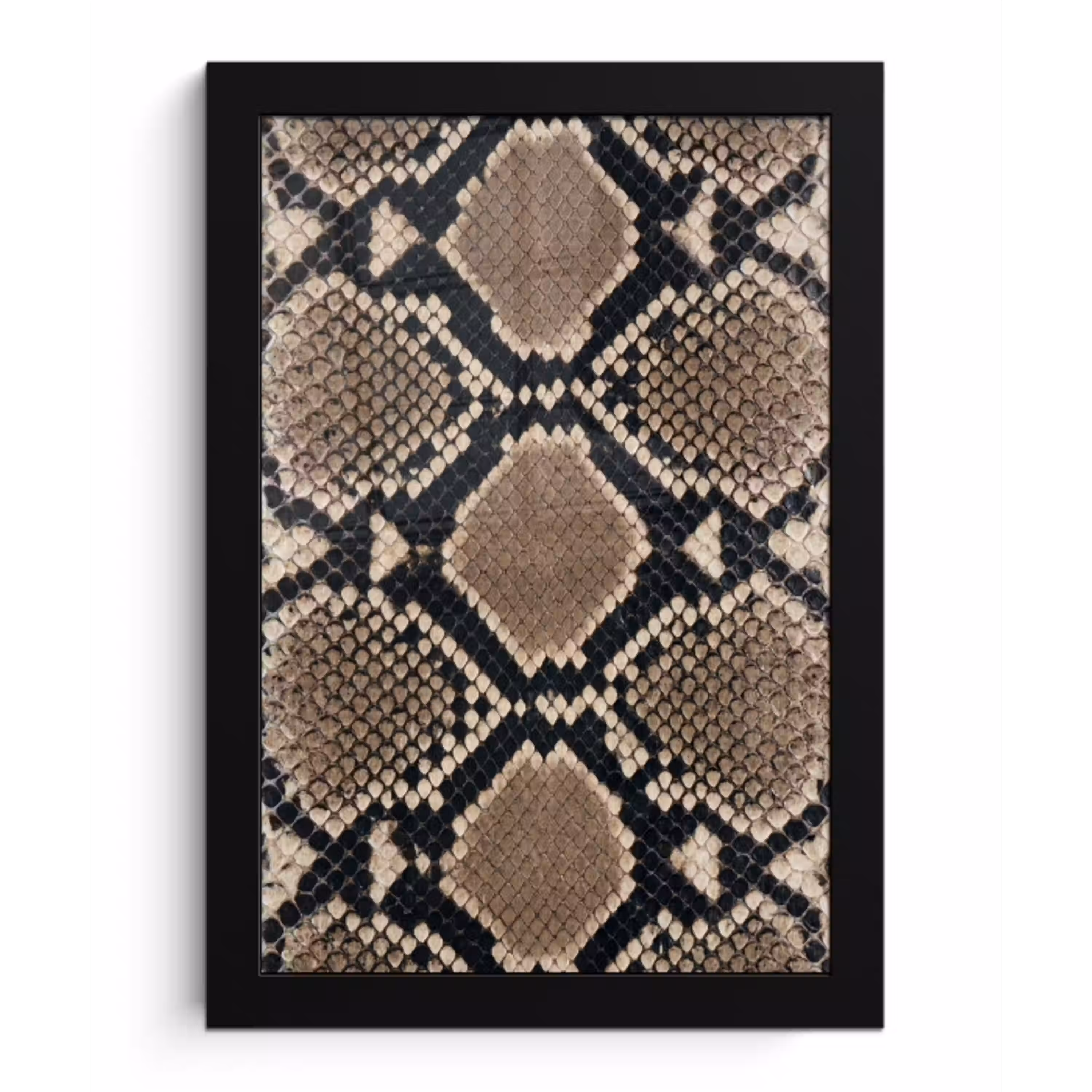 Slangenprint - Python - Bruin fotolijst zwart zonder passe partout klein -3d