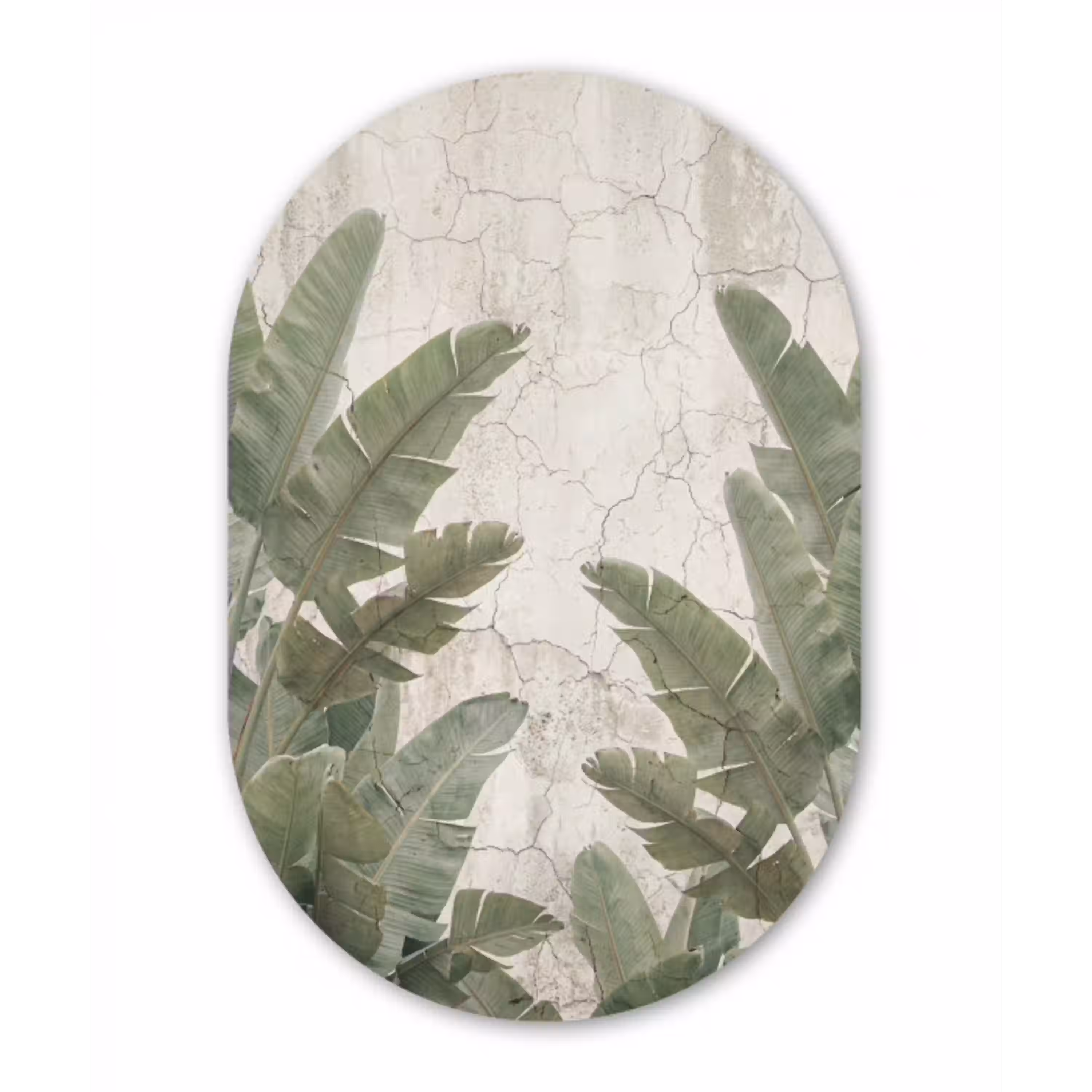 Bananenbladeren - Beton - Groen Wandcirkel Ovaal Aluminium middel -3d