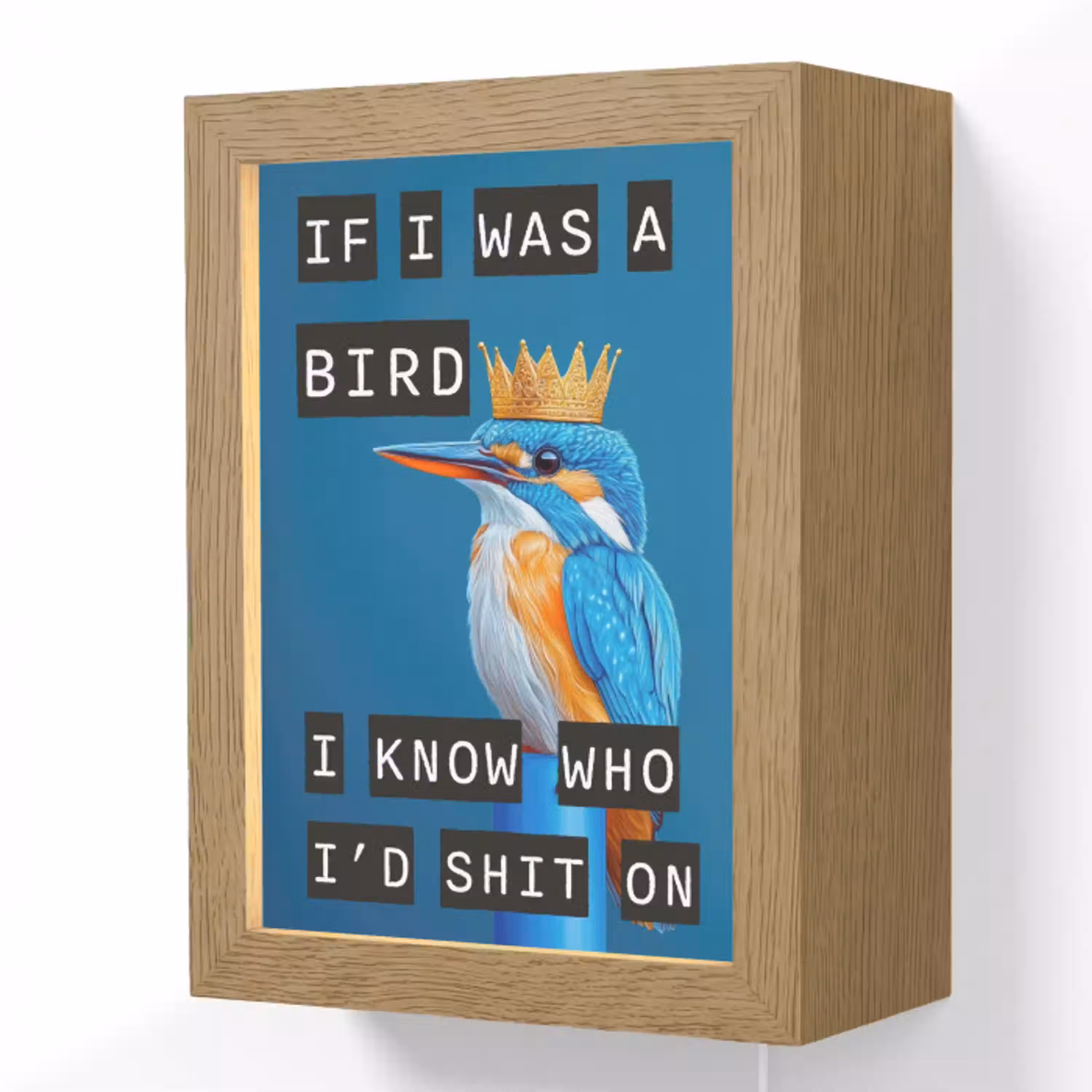 Vogel - Decoratie - Ijsvogel - Blauw Light Box met kabel (Wandlamp) klein -3d