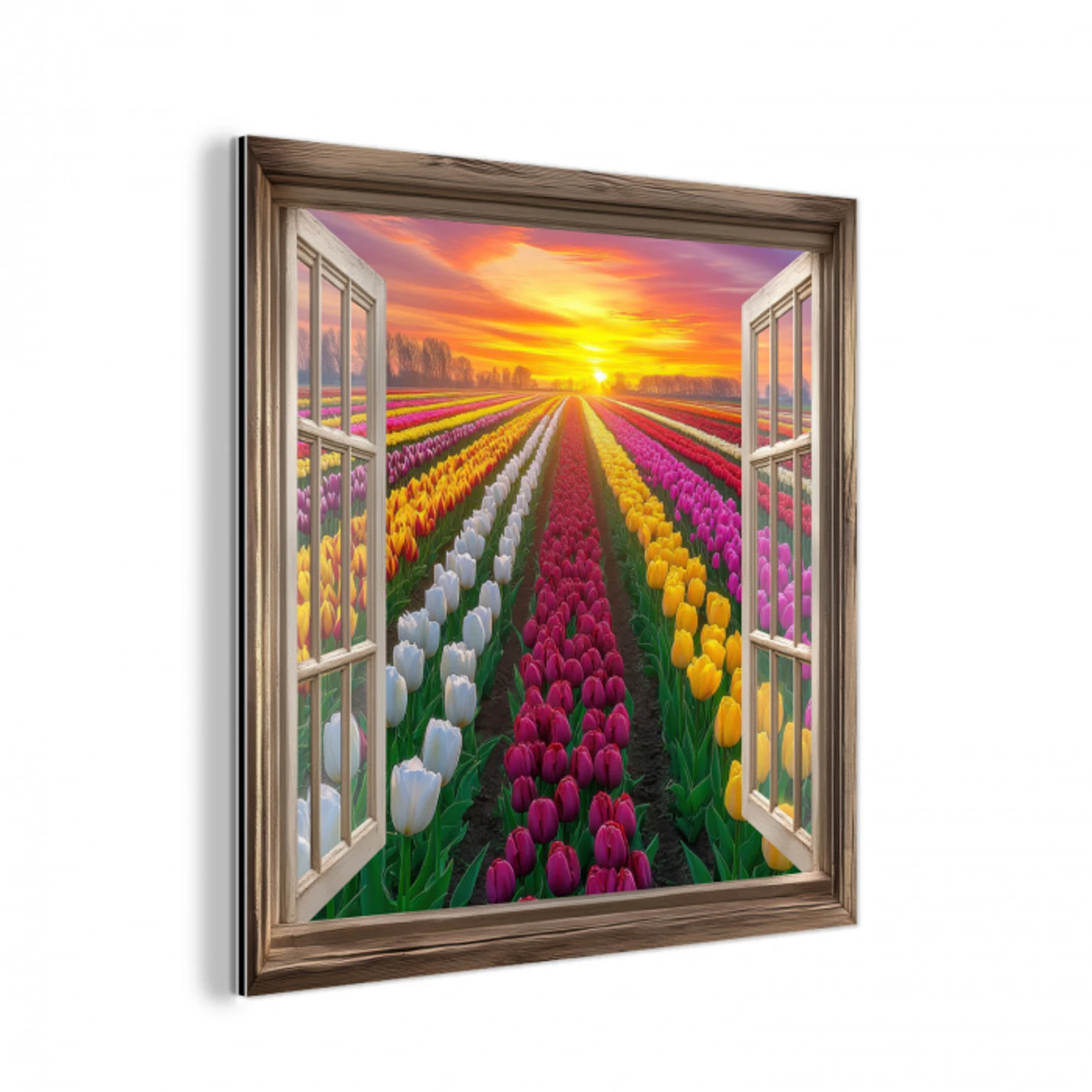 Doorkijk - Bloemen - Tulpen - Kleurrijk - Zonsondergang aluminium wit klein -3d