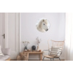 Paard - Kop - Winter - Dieren - Wit Wandcirkel aluminium klein -woonkamer