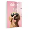Zonnebril - Hartjes - Hond - Valentijn plexiglas 5mm klein -zzzproduct_nieuw