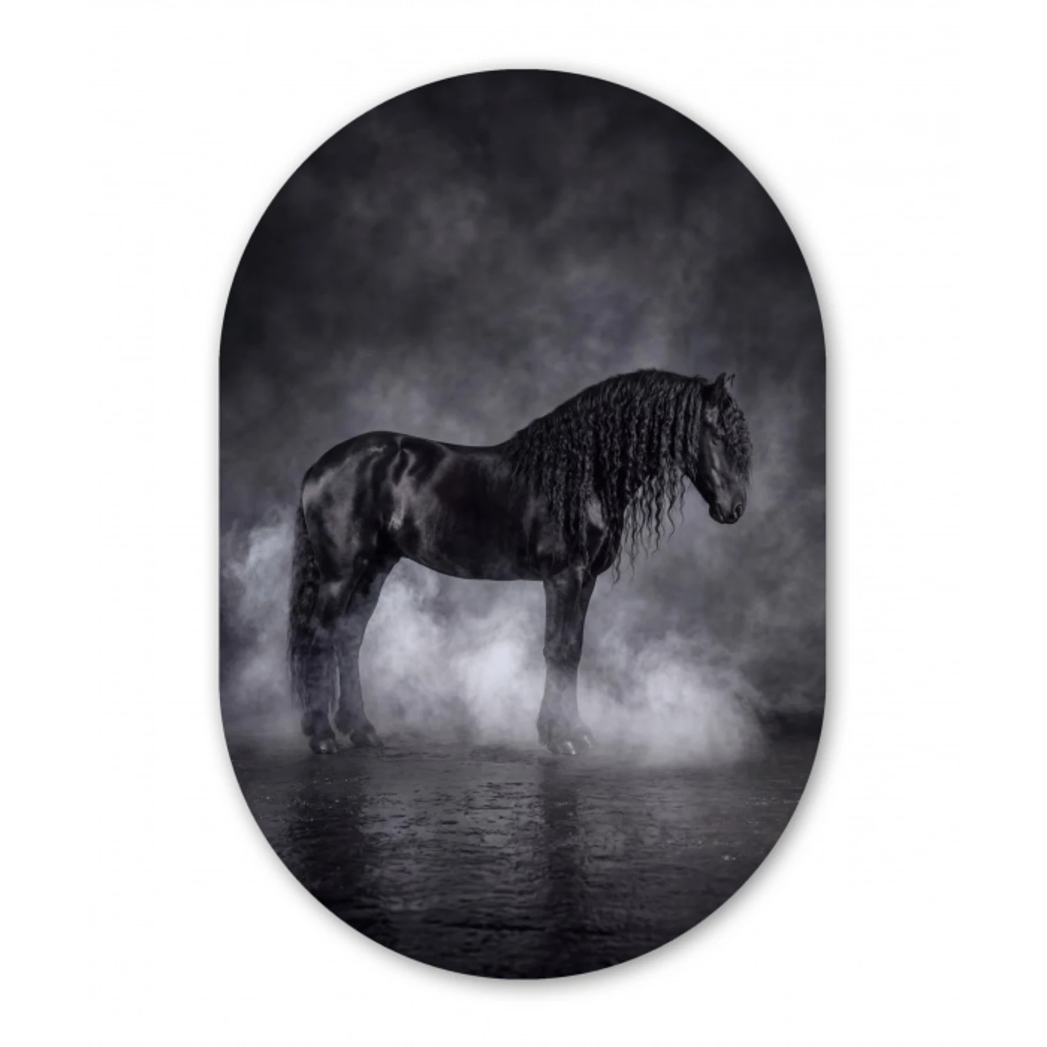 Paard - Magisch - Zwart Wandcirkel Ovaal Aluminium middel -3d