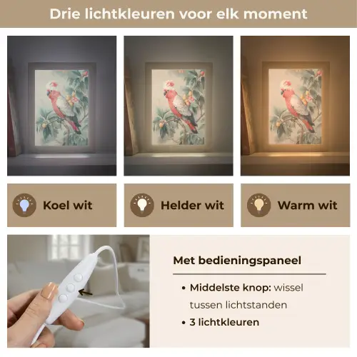 Roze kuifkaketoe - Tak met vruchten - Bladeren Light Box met kabel (Tafellamp) klein -USP_lichtkleurNL