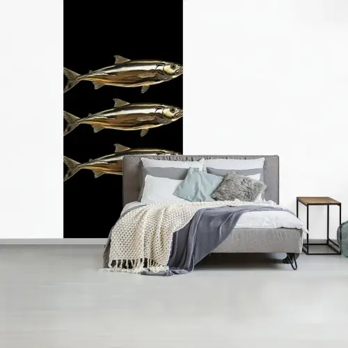 Vissen - Goud - Zwart fotobehang vinyl groot -slaapkamer