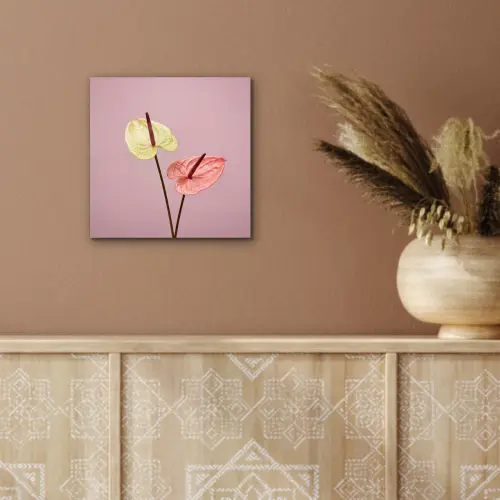 Bloemen - Anthuriums - Geel - Roze aluminium wit klein -sfeer4