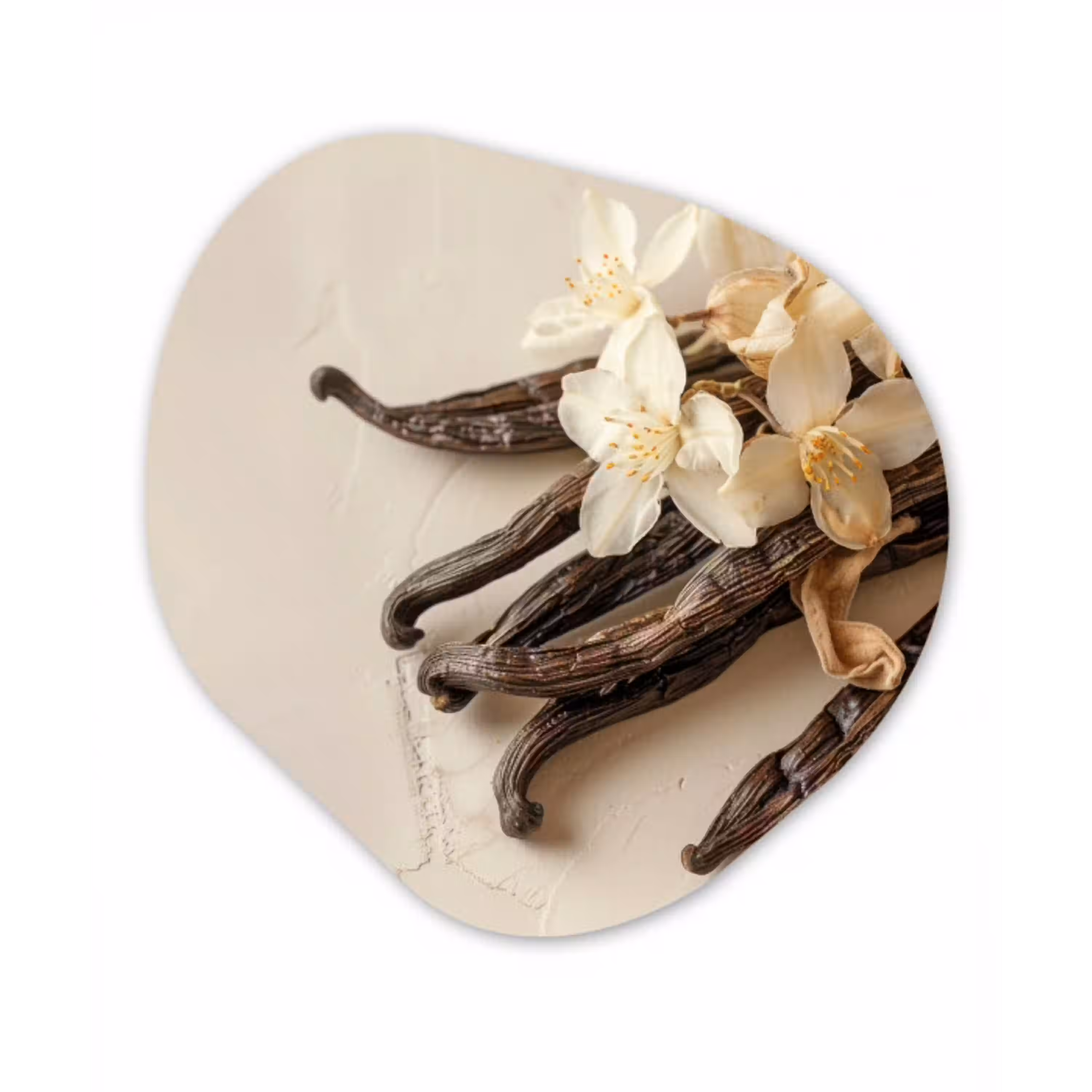 Vanille - Bloemen - Beige Wandcirkel Organisch Forex 3mm klein -3d
