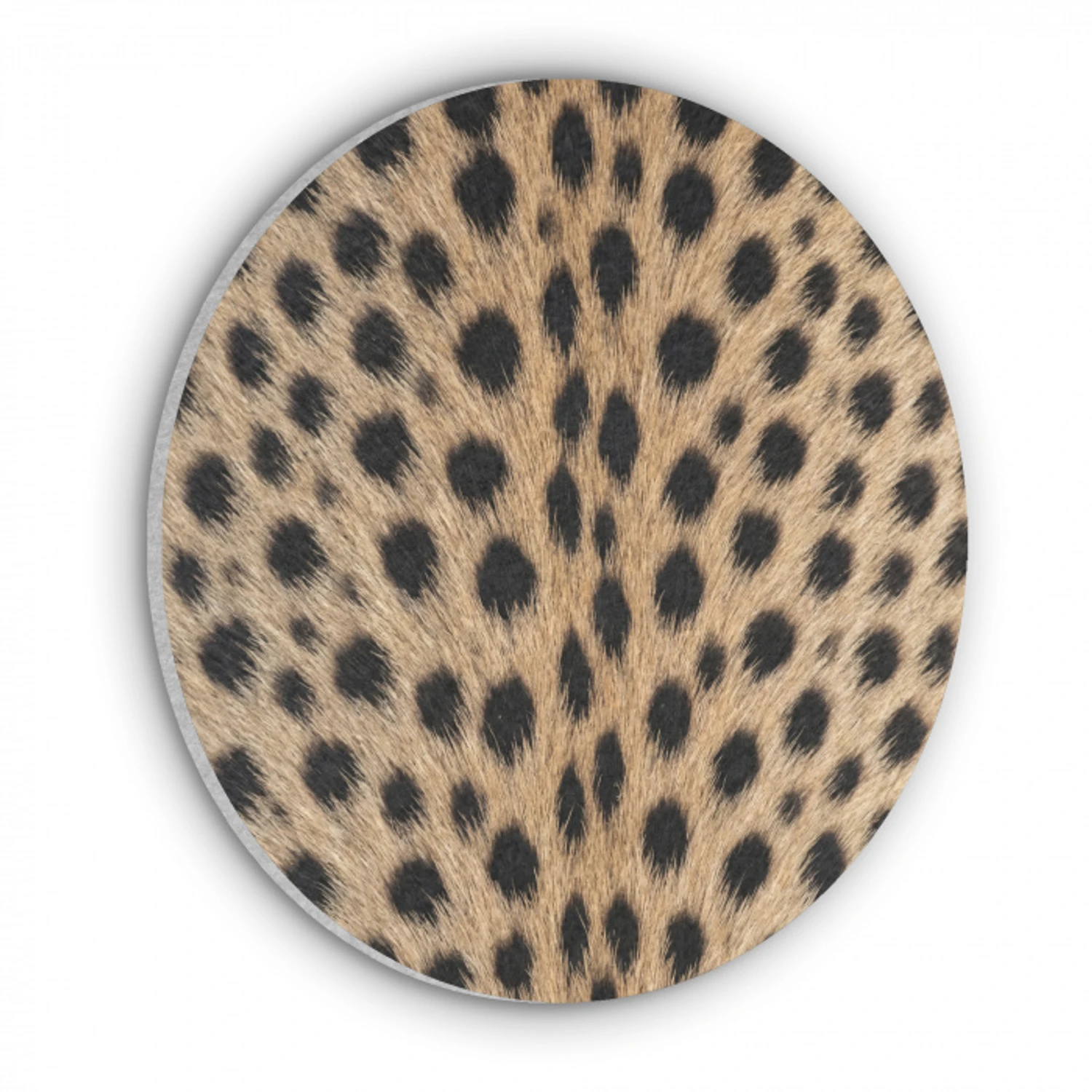 Vacht - Jachtluipaard - Zwart - Wit Akoestische PET Vilt - Rond klein -3d