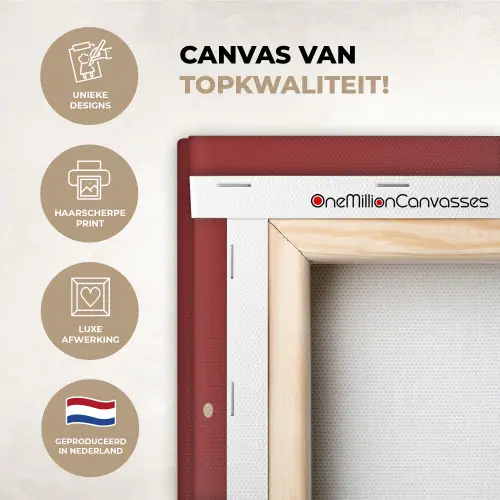 Patroon - Stippen - Rood canvas 2cm xxl 828 -sfeer2