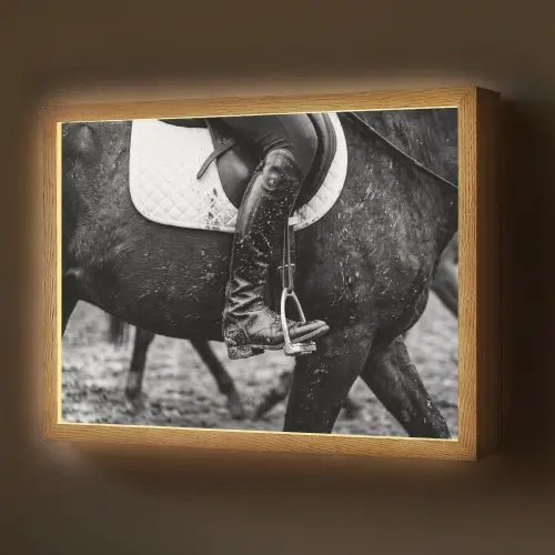 Paard - Sport - Zwart - Wit Light Box met batterij (Wandlamp) middel -z3d_website