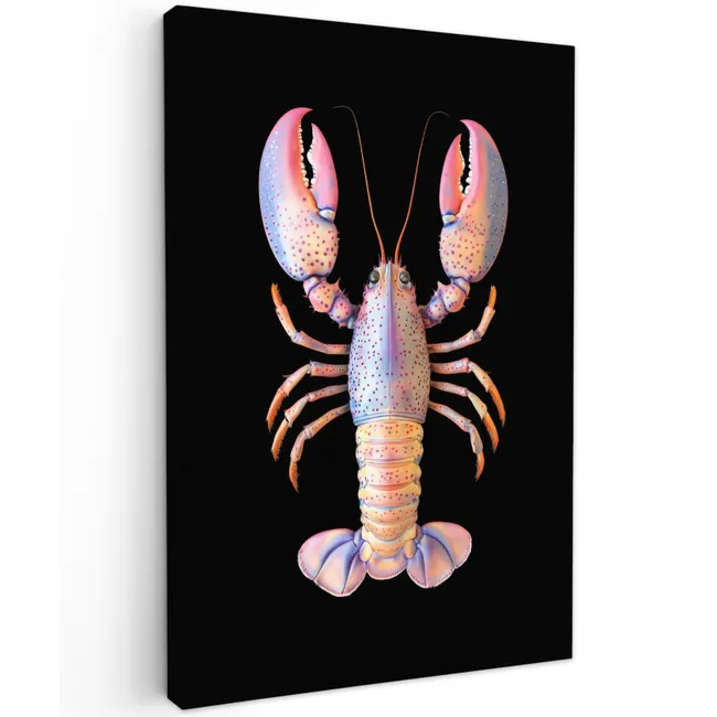 Kreeft - Roze - Zacht - Zwart Tuinposter op houten frame 2 cm dik klein -3d