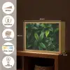Bladeren - Regendruppels - Licht - Groen Light Box met batterij (Wandlamp) middel -USP_websiteoverzichtNL