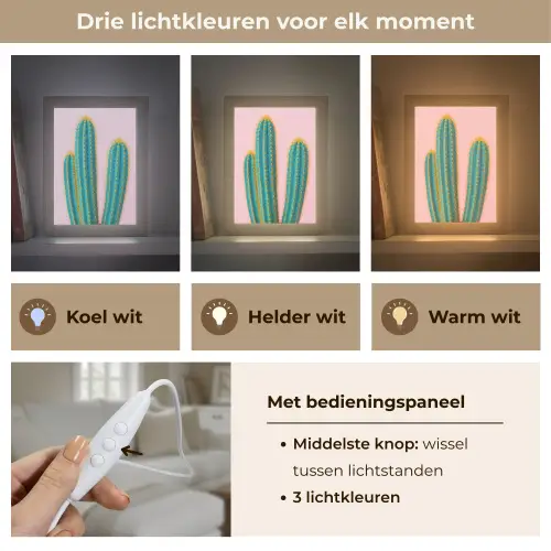 Cactussen - Modern - Pastel Light Box met kabel (Tafellamp) klein -USP_lichtkleurNL