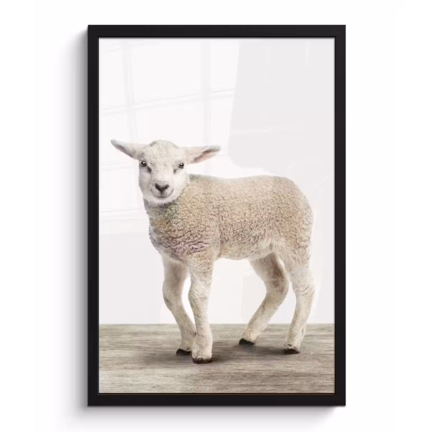 Poster met lijst - Lammetje - Schaap - Dieren - Kinderen - Meisjes - Jongens