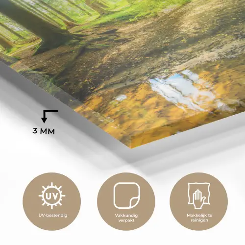 Bos - Landschap - Water - Bomen - Zon - Groen - Natuur plexiglas 5mm klein -sfeer2
