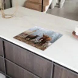 Boerderijdieren - Groep - Mist - Natuur - Rustiek Inductie beschermer vinyl 3mm middel -sfeer8