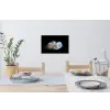 Sushi - Delfts blauw - Rijst - Vis - Elegant Muursticker klein -eettafel