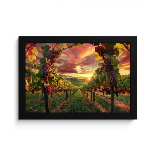 Wijngaard - Druiven - Zonsondergang fotolijst zwart zonder passe partout klein -3d
