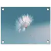 Paardenbloempluisje - Blauw - Lucht tuinposter los doek klein -3d