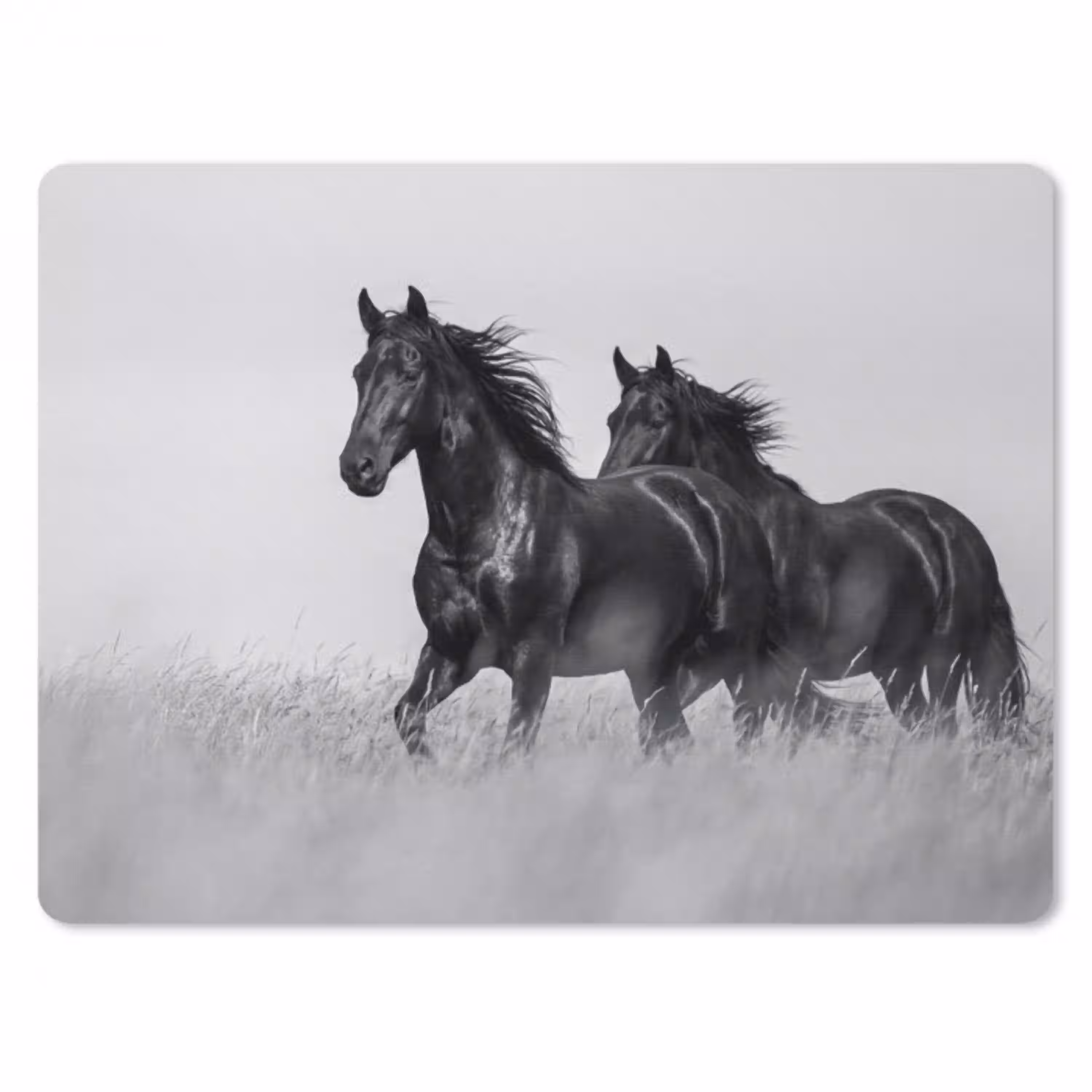 Paarden - Gras - Zwart - Wit muismat rubber klein -3d