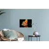 Vlinder - Bloemen - Insect - Portret - Zwart - Oranje Muursticker klein -plant