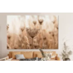Schermbloem - Droogbloem - Winter - Beige - Minimalistisch forex 5mm xxl -bovenbank