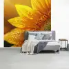 Zonnebloem - Dauwdruppels - Geel - Zonlicht fotobehang vinyl groot -slaapkamer
