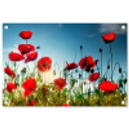 Klaprozen in tegenlicht tuinposter los doek klein -3d