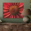 Close up - Bloem- Rood PET vilt klein -sfeer2