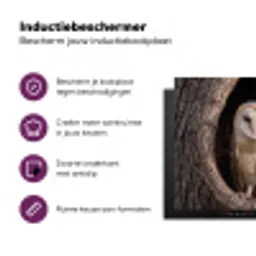 Kerkuil - Boom - Natuur - Bruin Inductie beschermer vinyl 3mm klein -zzzzzzz-cc-usp