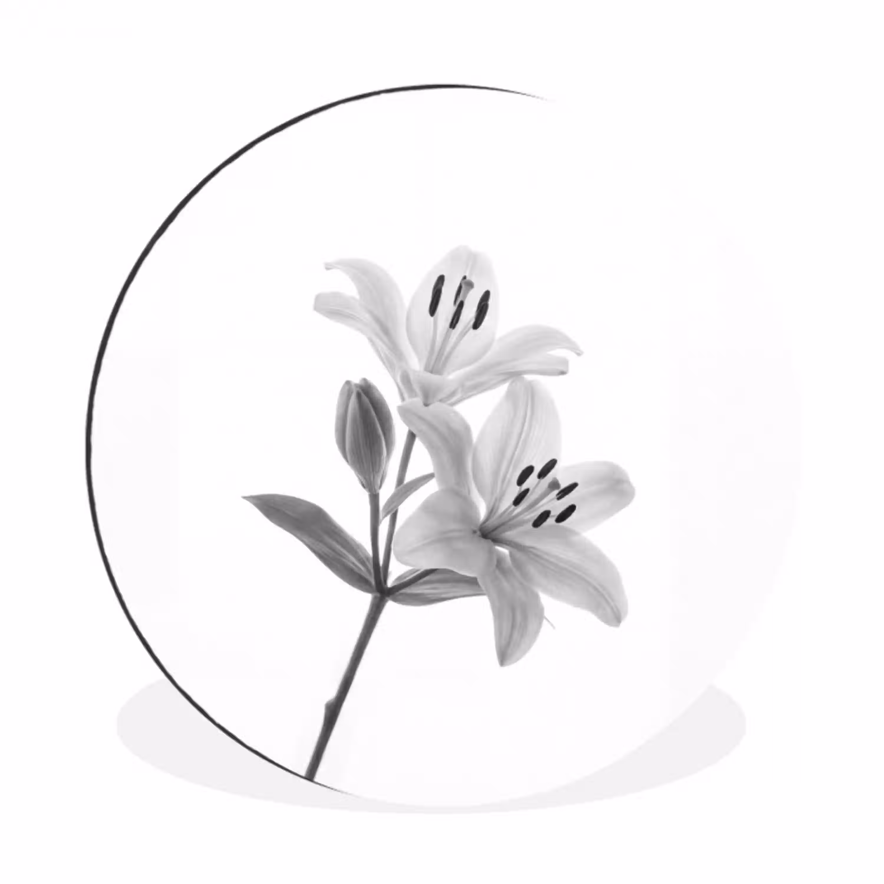 Lelies - Elegant - Zwart - Wit Wandcirkel aluminium klein -3d