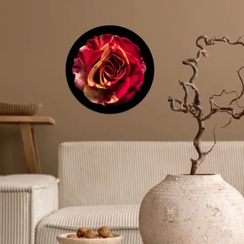 Bloem - Roos - Rood - Zwart Wandcirkel behangsticker klein -sfeer1