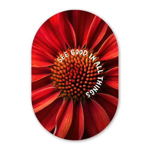Close up - Bloem - Quote - Rood Wandcirkel Ovaal Glas middel -3d