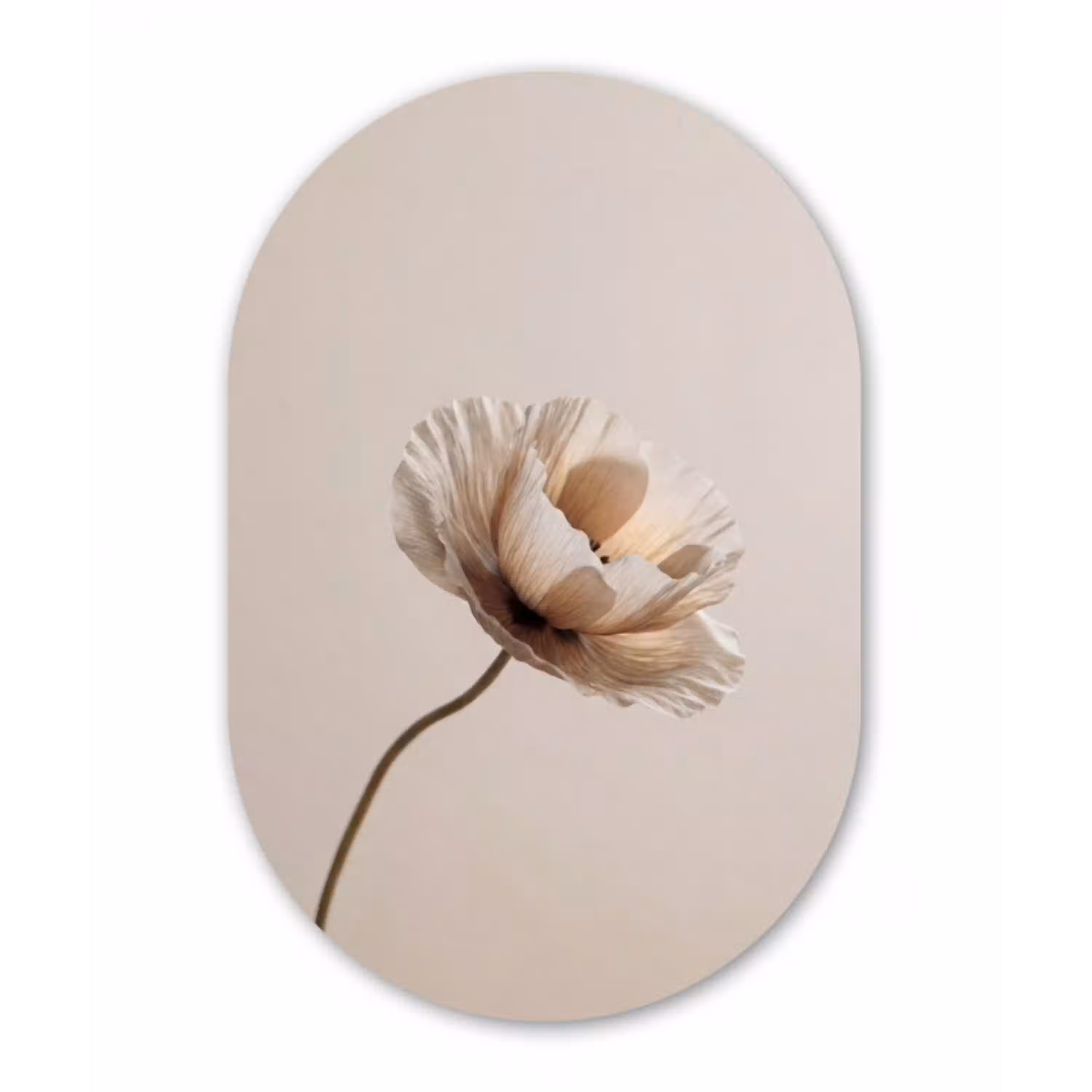 Bloem - Beige - Crème Wandcirkel Ovaal Aluminium middel -3d