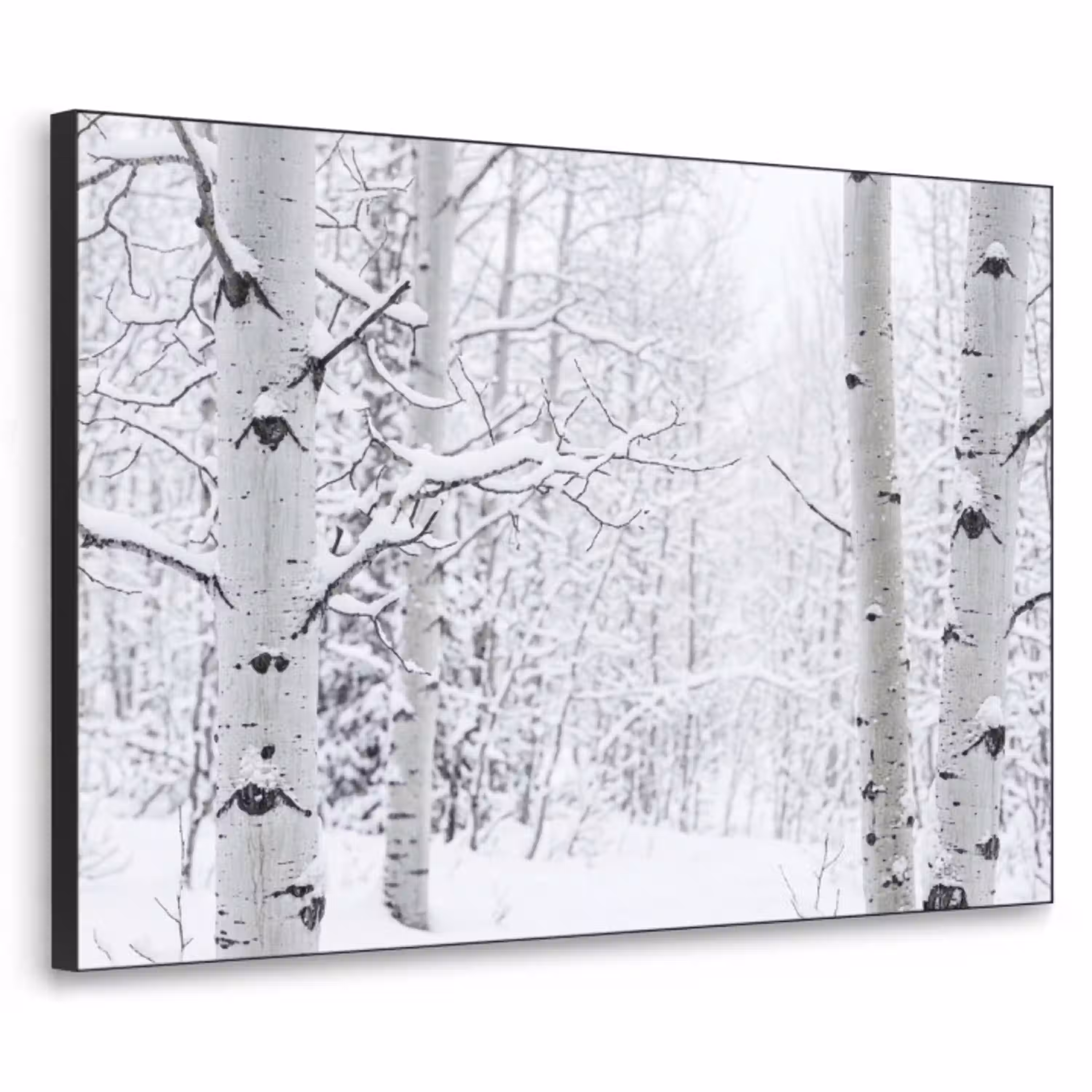 Berkenbomen - Sneeuw - Winter - Bos - Wit Textielframe zwart klein -3d