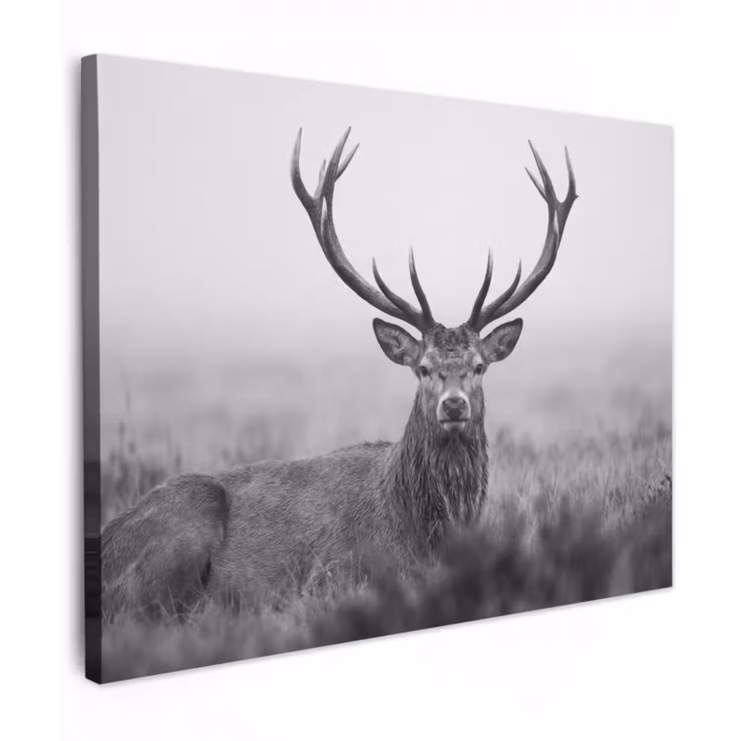 Leinwandbild - Hirsch - Neblig - Schwarz - Weiß