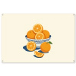 Schaal - Minimalistisch - Oranje - Sinaasappels tuinposter los doek groot -3d