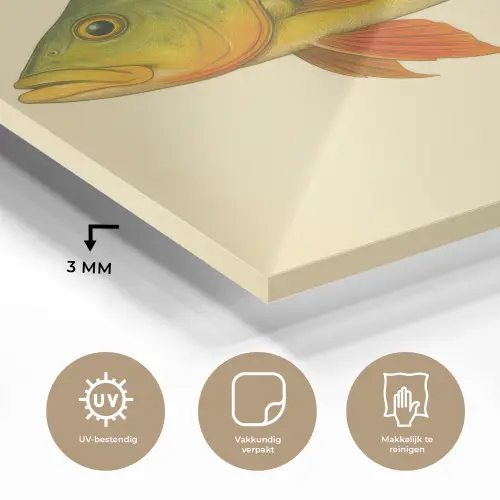 Schubben - Vis - Groen - Illustratie plexiglas 5mm klein -sfeer2