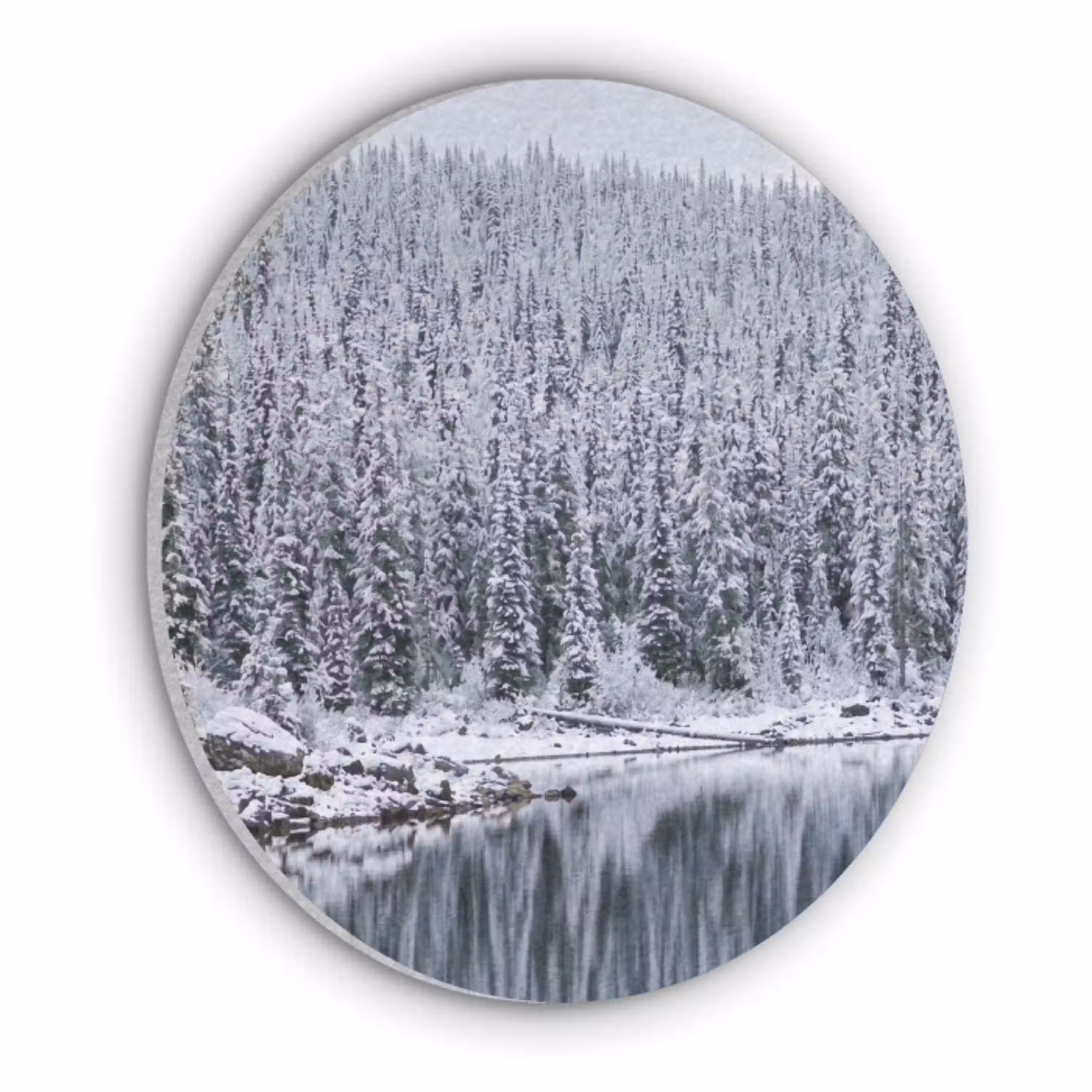 Bos - Reflectie - Meer - Winter - Serene Akoestische PET Vilt - Rond klein -3d