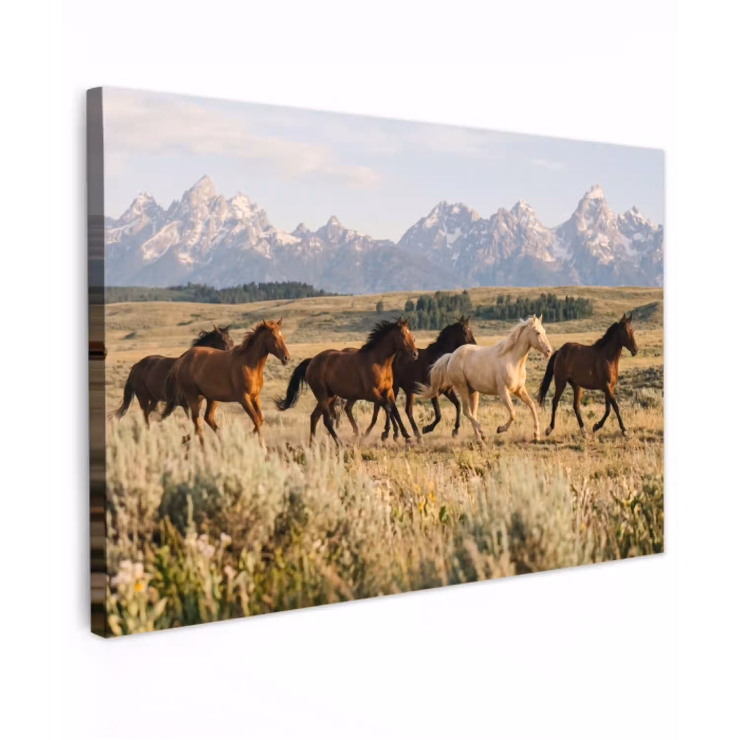 Paarden - Kudde - Bergen - Vrijheid - Wild canvas 2cm klein -z3d