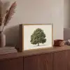 Eikenboom - Groen - Lichte achtergrond Light Box met batterij (Wandlamp) middel -sfeer2