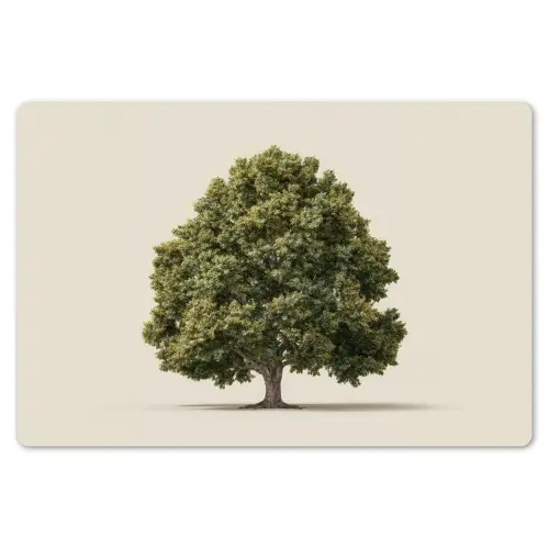 Eikenboom - Groen - Lichte achtergrond Placemat vinyl groot -zzsfeer1_Kitchenyeah-website