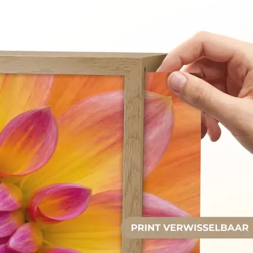 Dahlia - Bloem - Oranje Light Box met batterij (Wandlamp) middel -USP_websiteprintNL