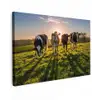 Koeien in de ochtendzon Tuinposter op houten frame 2 cm dik klein -3d