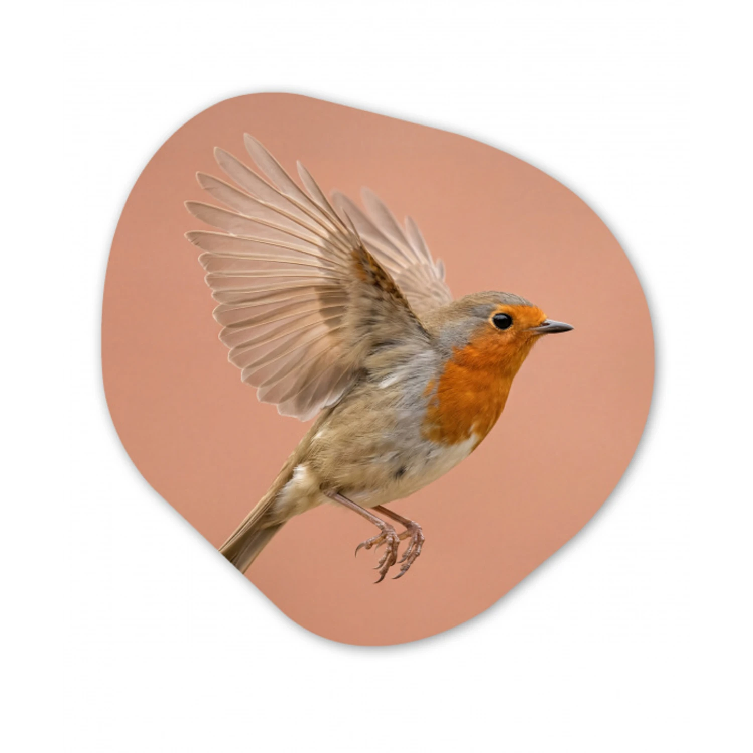 Roodborst - Natuur - Roze Wandcirkel Organisch Forex 3mm klein -3d