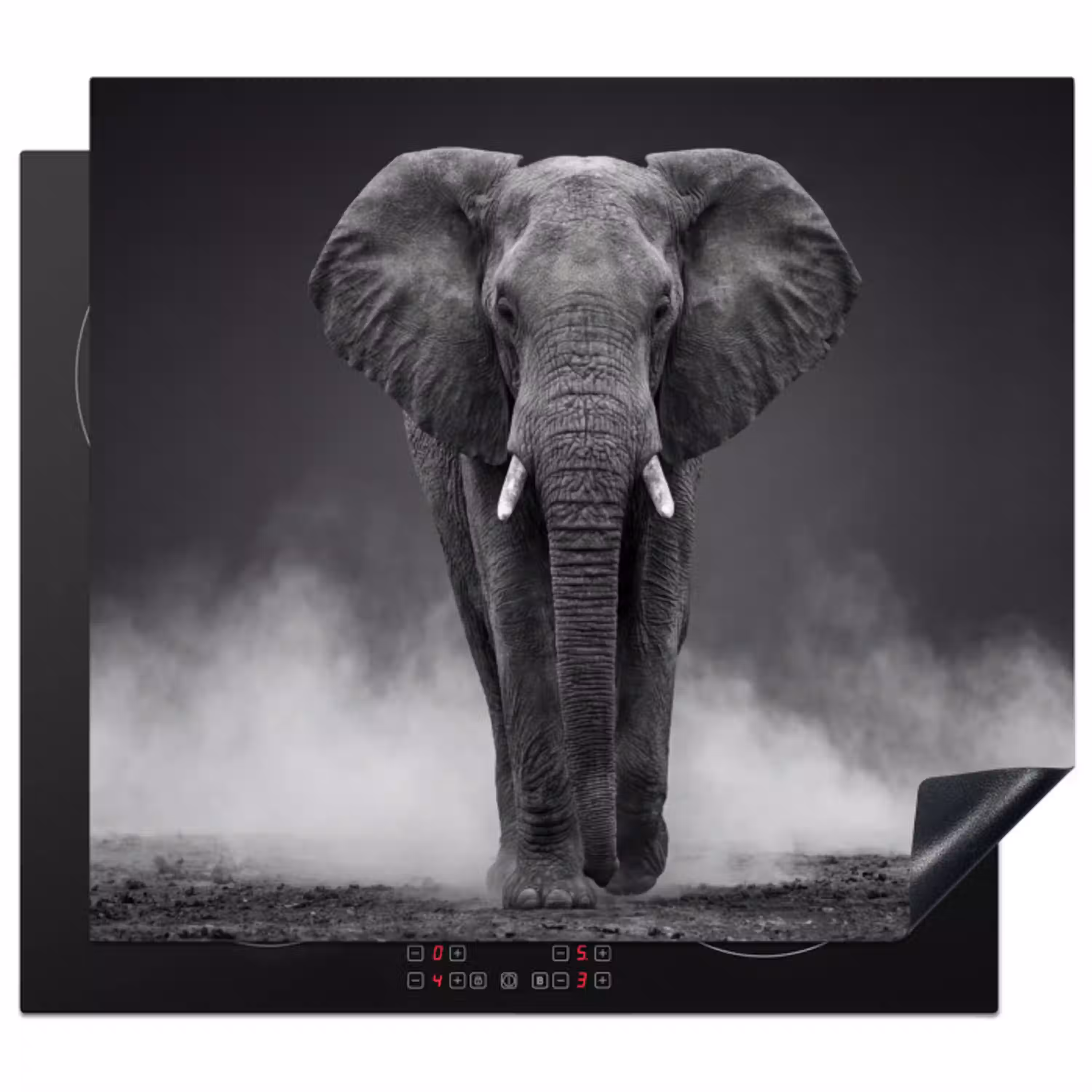 Olifant - Zwart - Wit - Rook Inductie beschermer vinyl 3mm middel -3d