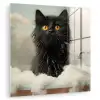 Kat - Bad - Zwart - Dieren - Schuim plexiglas 5mm klein -zzzproduct_nieuw