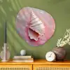Schelp - Pastel - Pink Wandcirkel Organisch Plexiglas middel -sfeer2