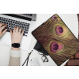 Pauw - Veren - Paars - Groen laptophoes neopreen klein -bureau